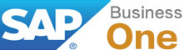 东莞SAP Business One软件系统实施维护咨询培训开发服务代理商